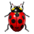 bugtracker Soporte Técnico