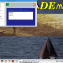 kdemar4.0 6 125x125 4.0
