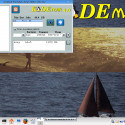 kdemar4.0 8 125x125 4.0