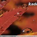 screen1 125x125 4.9.5